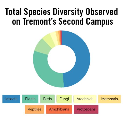 Biodiversity Observations on Second Campus