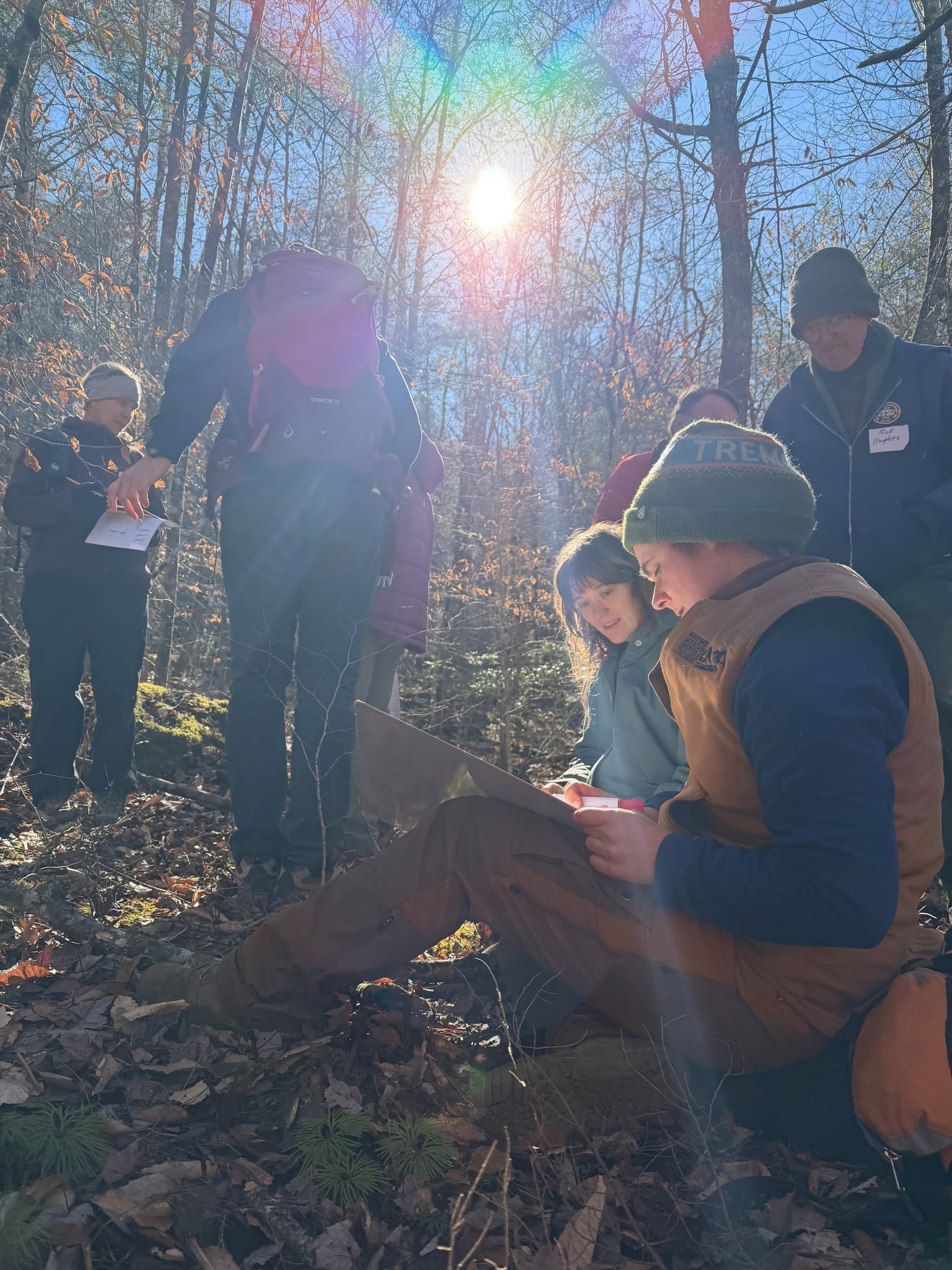 Forest Stewardship 1