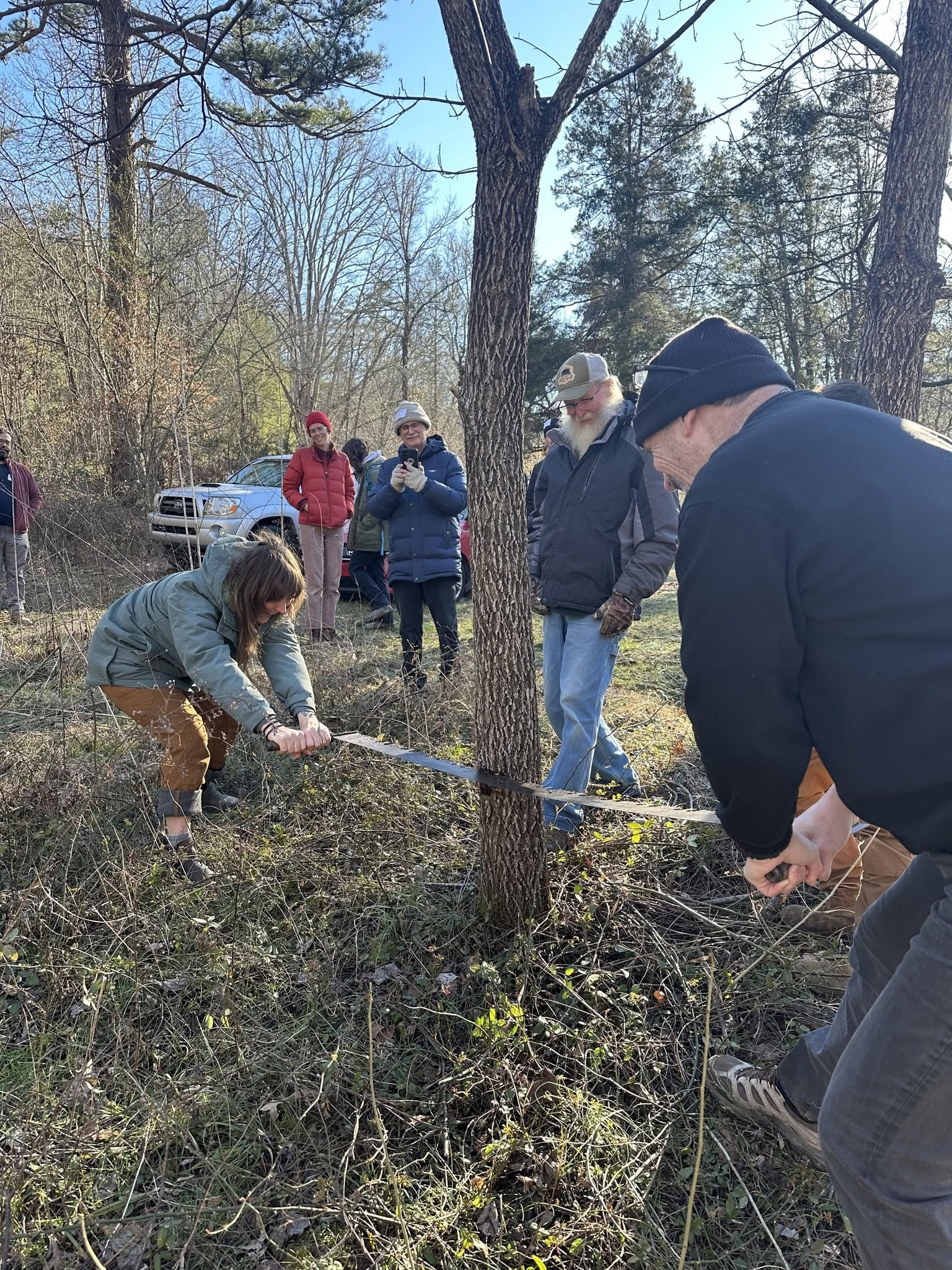 Forest Stewardship 2