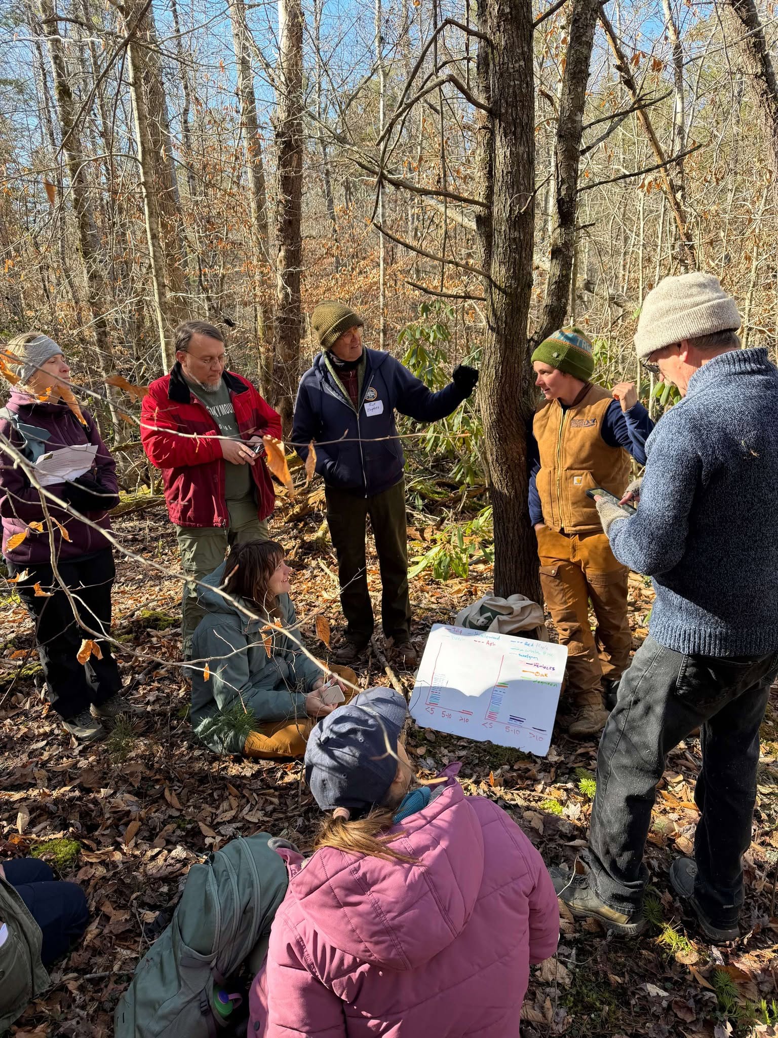 Forest Stewardship 3