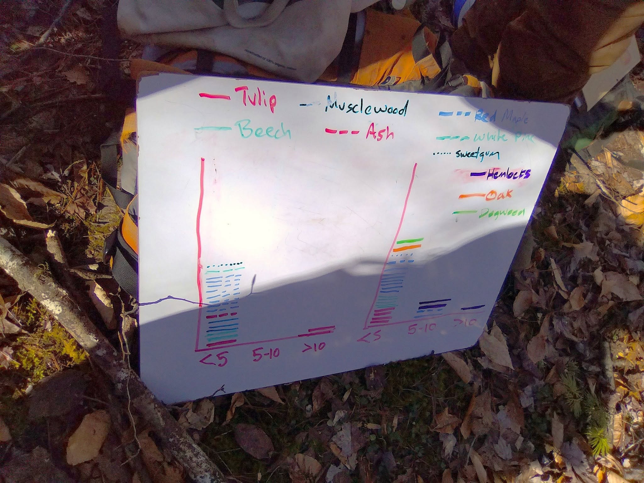 Forest Stewardship 6